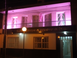 CÃMARA DE VEREADORES ADERE A CAMPANHA OUTUBRO ROSA - Câmara de Vereadores de Canguçu